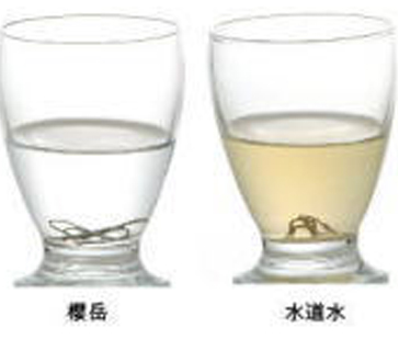 さびないのはなぜ？