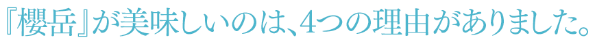 『櫻岳』が美味しいのは、4つの理由がありました。